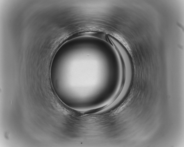 X0000096430481200801241341