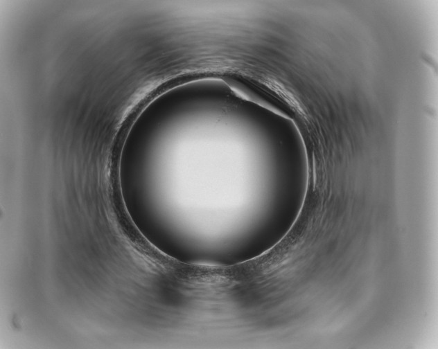 X0000096430483200801241341