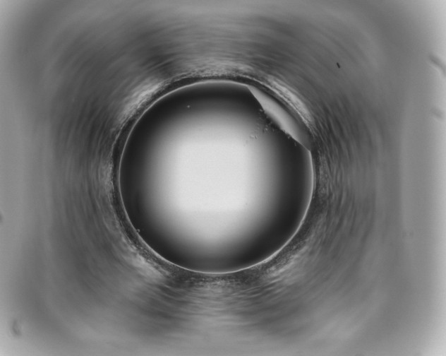X0000096430485200801241341
