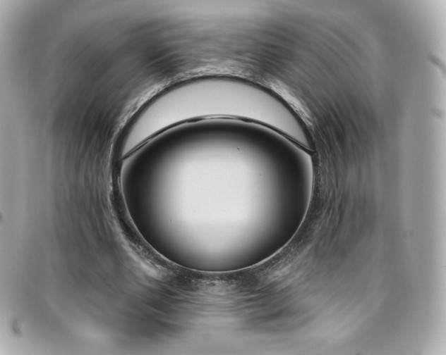 X0000096430486200801241341