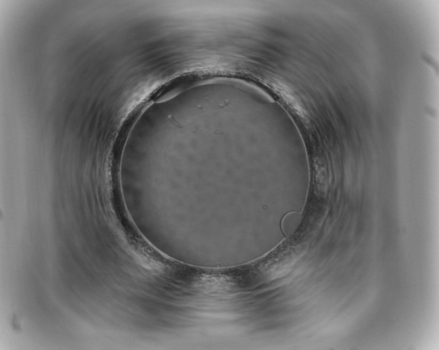 X0000096430487200801241341