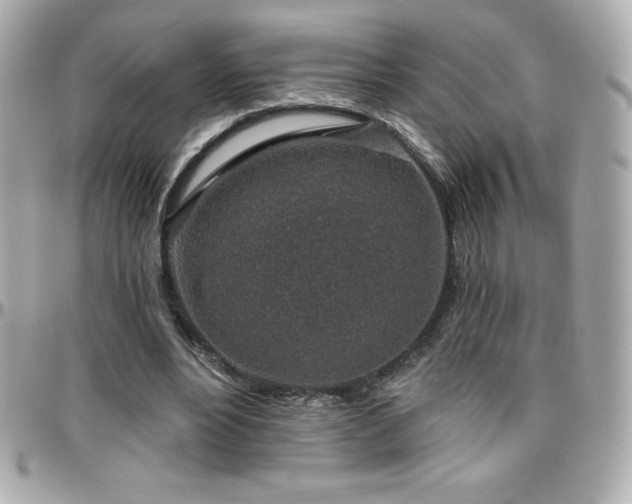 X0000096430488200801241341