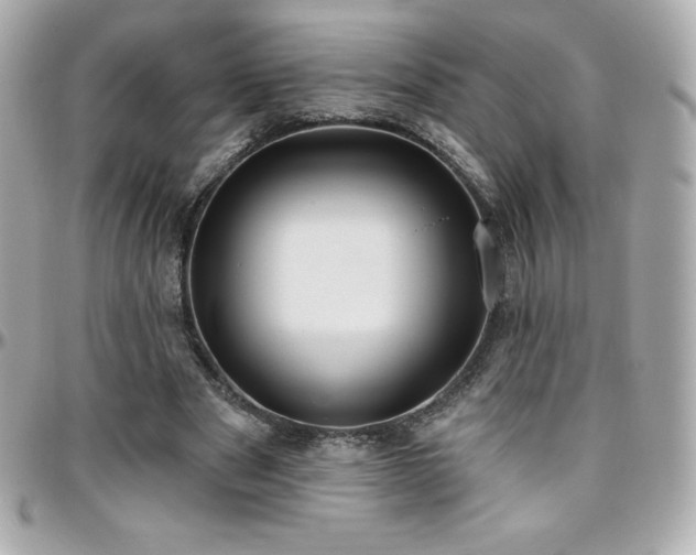 X0000096430489200801241341