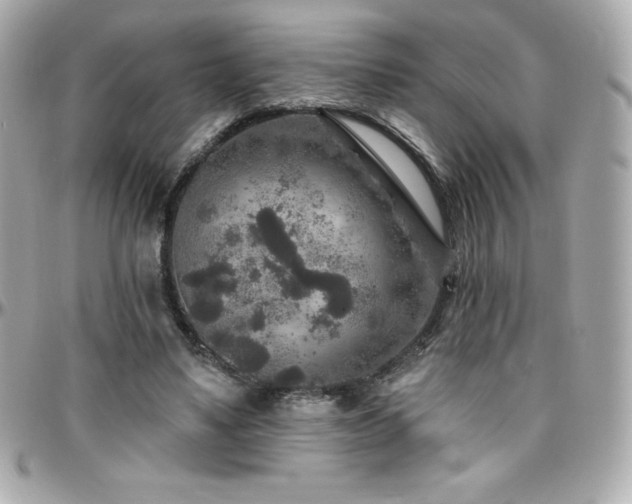 X0000096430491200801241341