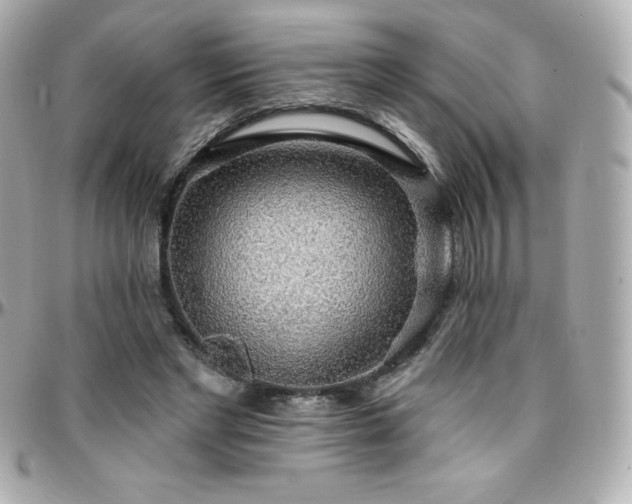 X0000096430493200801241341