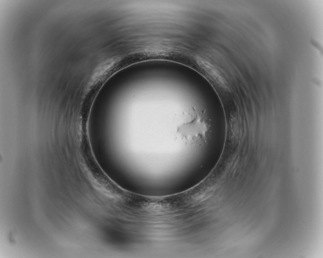 X0000096430494200801241341