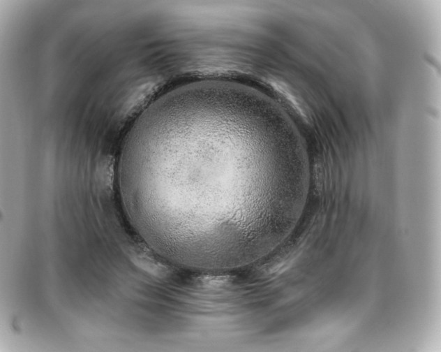 X0000096430495200801241341