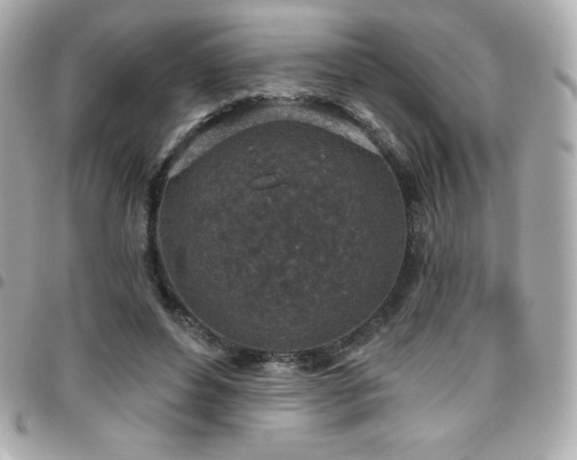 X0000096430496200801241341
