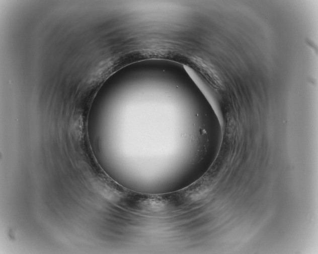 X0000096430498200801241341