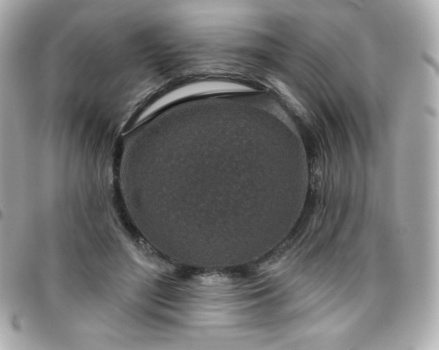 X0000096430500200801241341