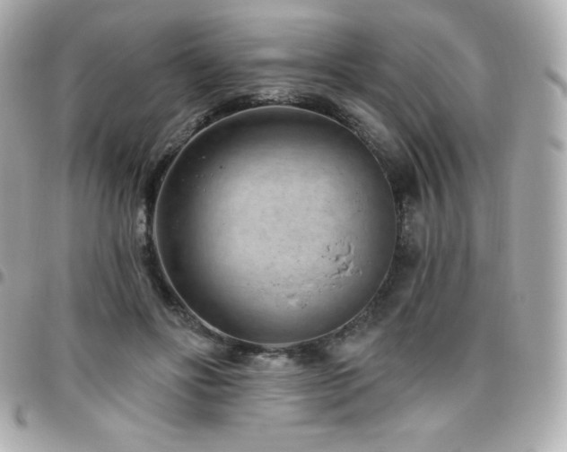 X0000096430502200801241341