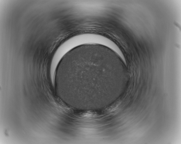X0000096430504200801241341