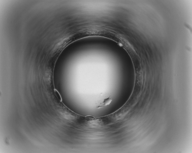 X0000096430505200801241341