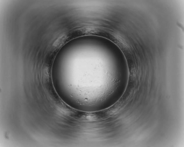X0000096430506200801241341
