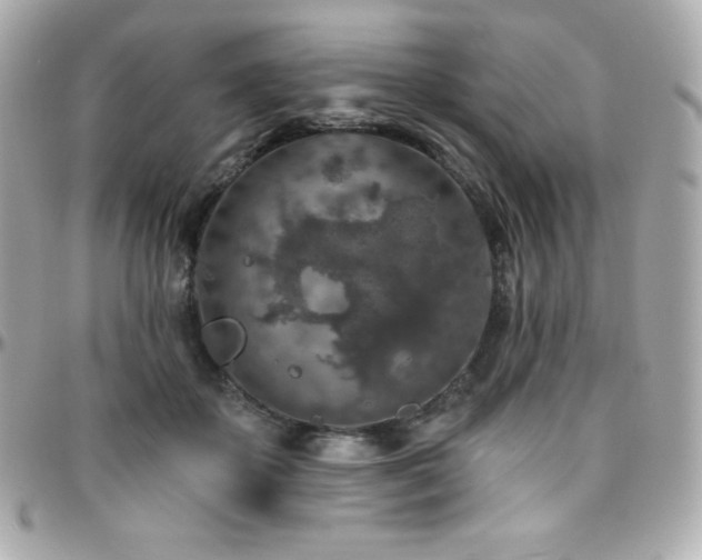 X0000096430507200801241341