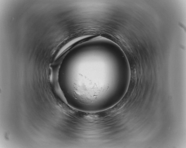 X0000096430508200801241341