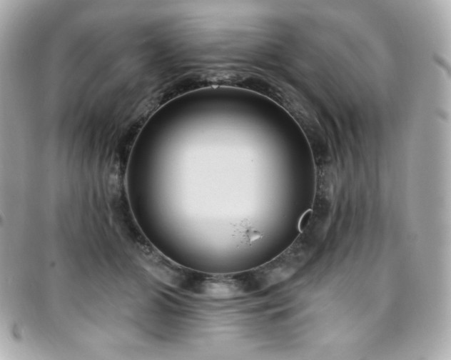 X0000096430510200801241341