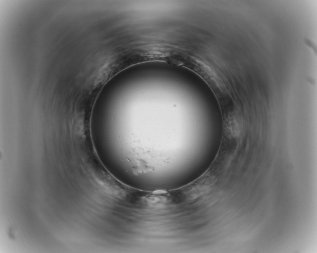 X0000096430512200801241341