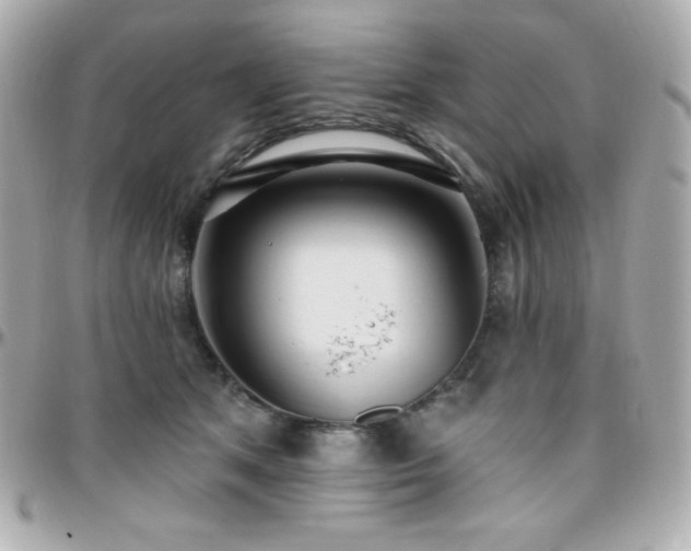 X0000096430513200801241341