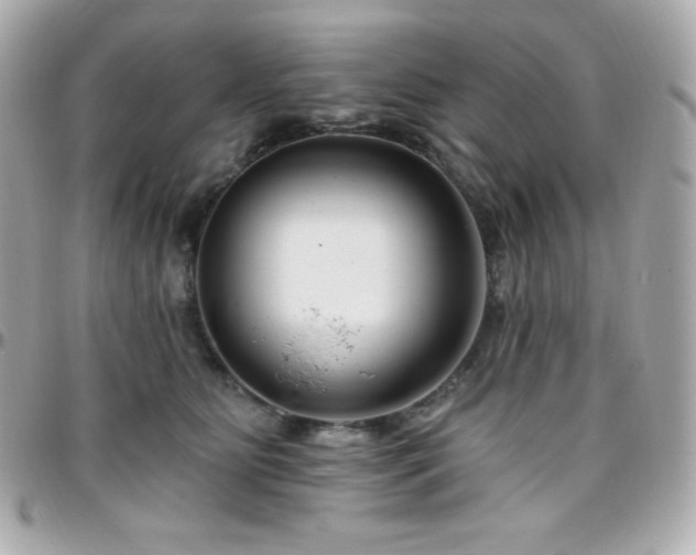 X0000096430515200801241341