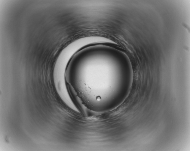 X0000096430516200801241341