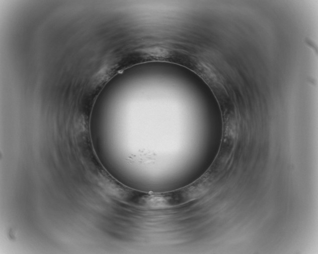 X0000096430518200801241341