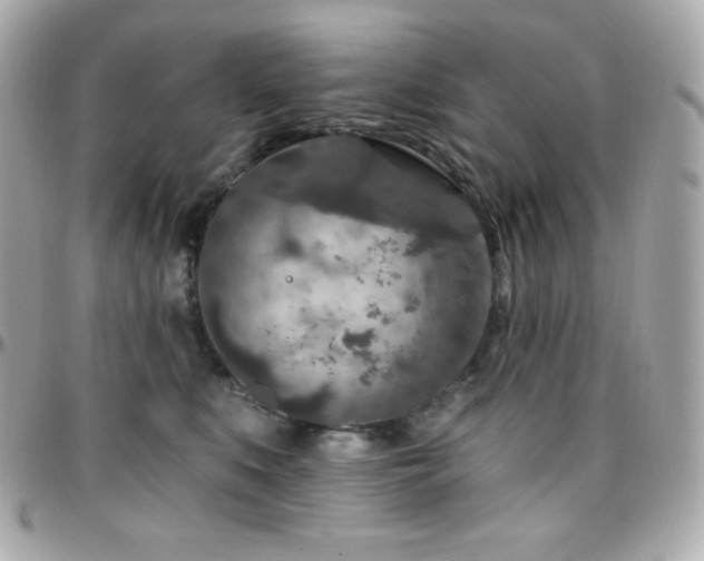 X0000096430519200801241341