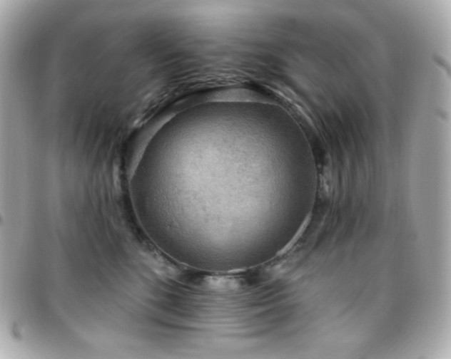 X0000096430520200801241341