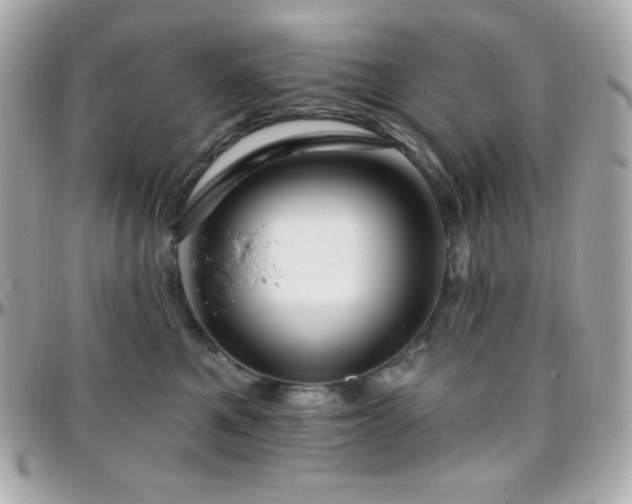X0000096430521200801241341
