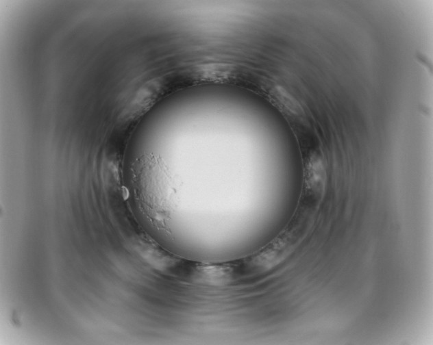 X0000096430522200801241341