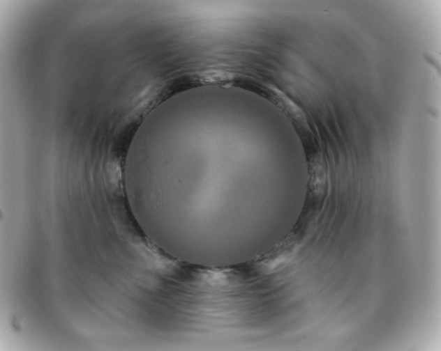 X0000096430523200801241341