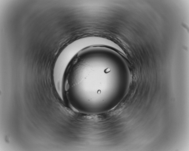 X0000096430524200801241341