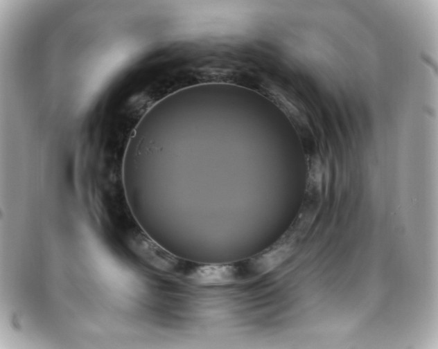 X0000096430526200801241341