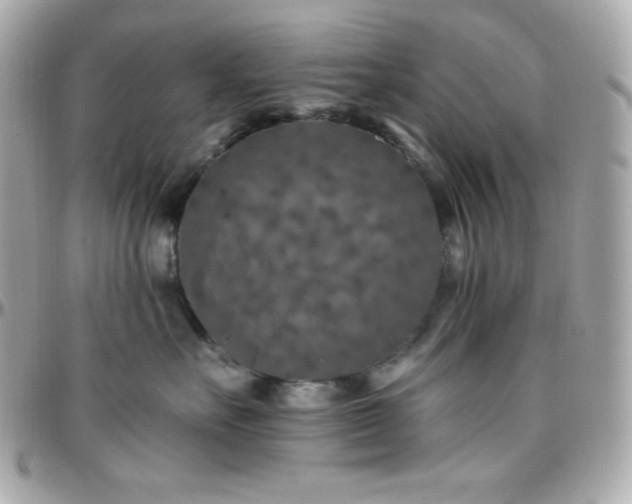 X0000096430527200801241341