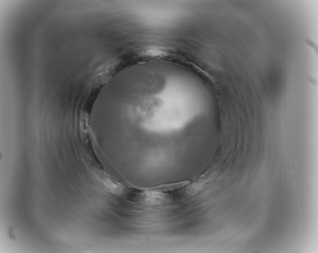 X0000096430528200801241341