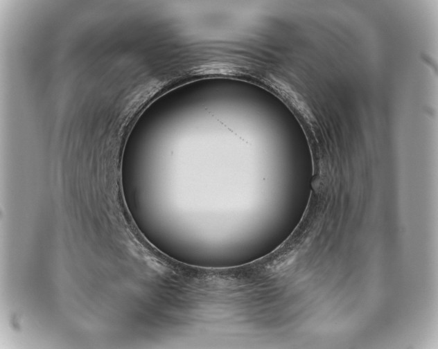 X0000096430529200801241340