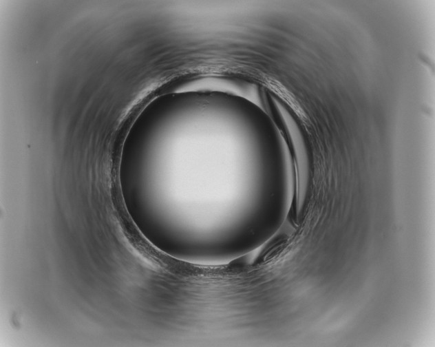 X0000096430530200801241340