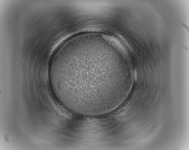 X0000096430531200801241340