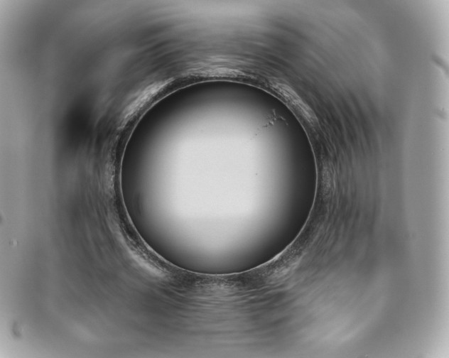 X0000096430533200801241340