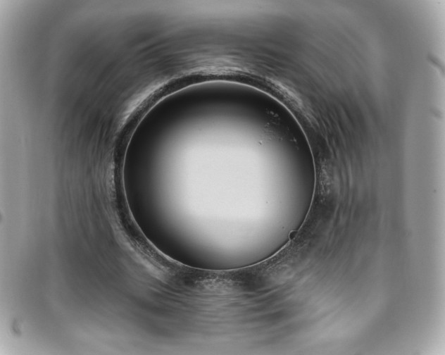 X0000096430535200801241340