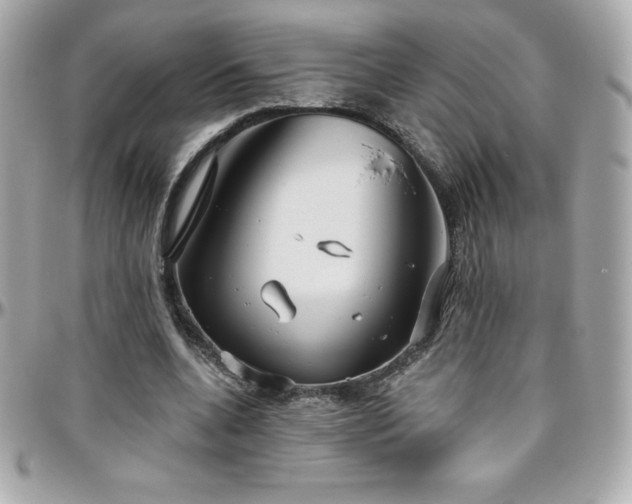 X0000096430536200801241340