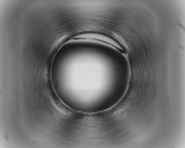 X0000096430538200801241340
