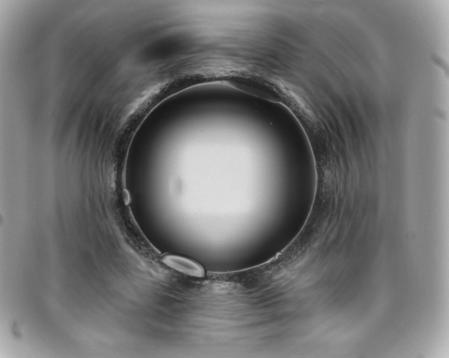 X0000096430539200801241340