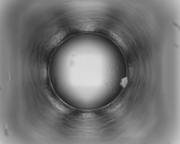X0000096430541200801241340