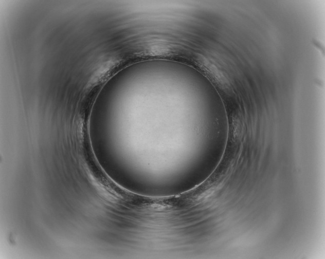 X0000096430542200801241340