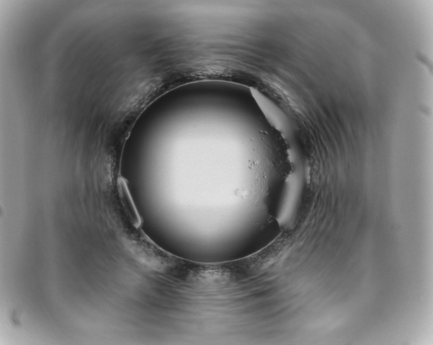 X0000096430546200801241340