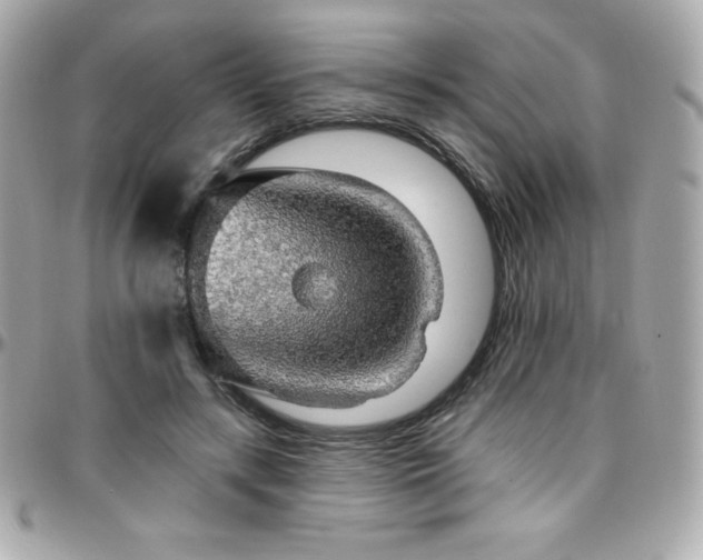 X0000096430547200801241340