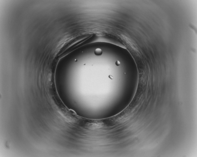X0000096430548200801241340