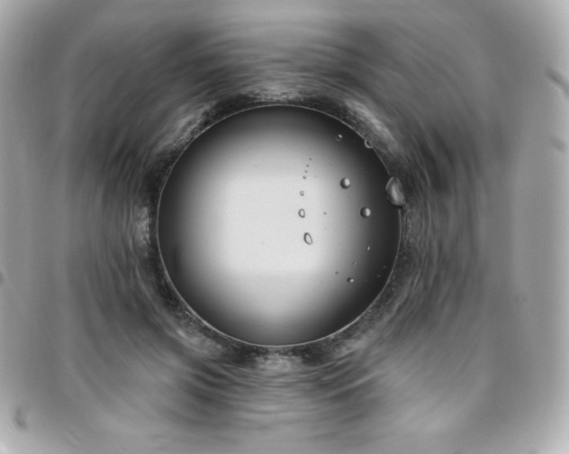 X0000096430549200801241340