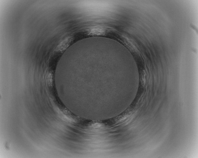 X0000096430551200801241340